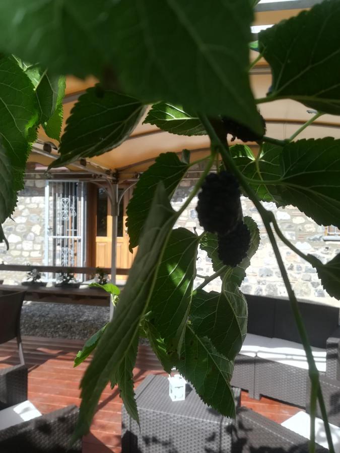 I Suoni Di Valle Martina Poderia Exterior foto